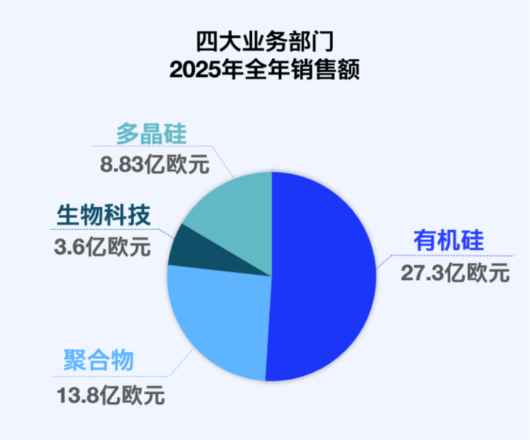 瓦克化學2025年度報告-2026展望397