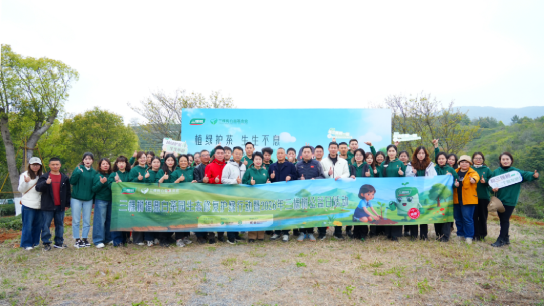 三棵樹福鼎白茶園生態修復行動190