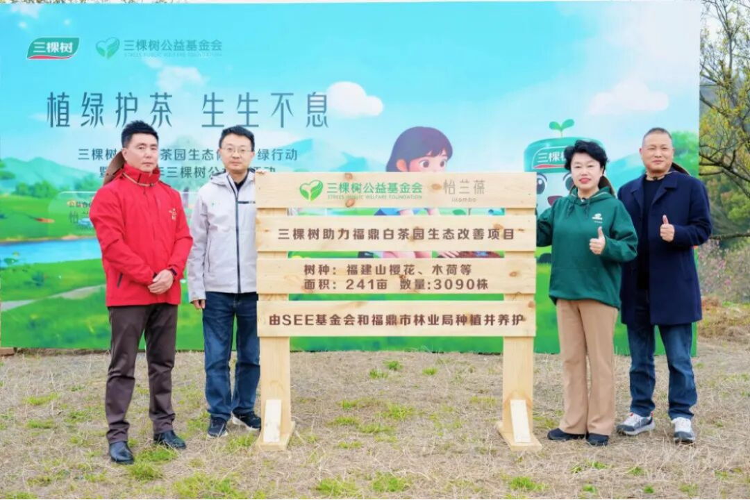 三棵樹福鼎白茶園生態修復行動561