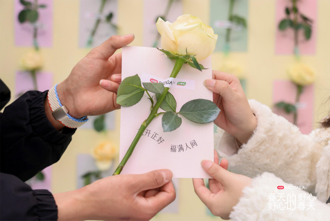 三棵樹&times;小紅書春日美學盛典857