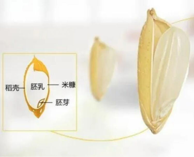 開士達-進化硅戰略合作公告1149