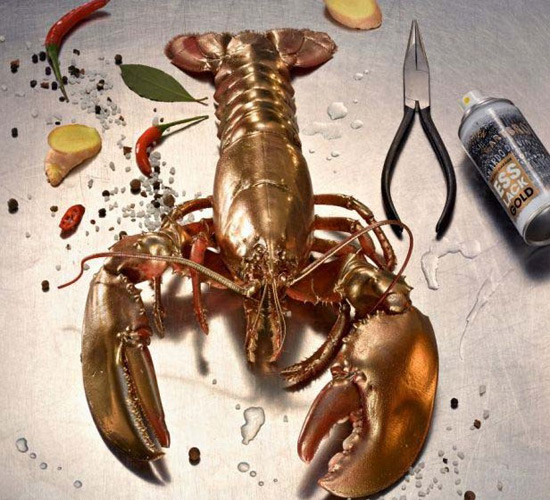 綠色環保涂料重大突破 世界首款可食用噴漆誕生