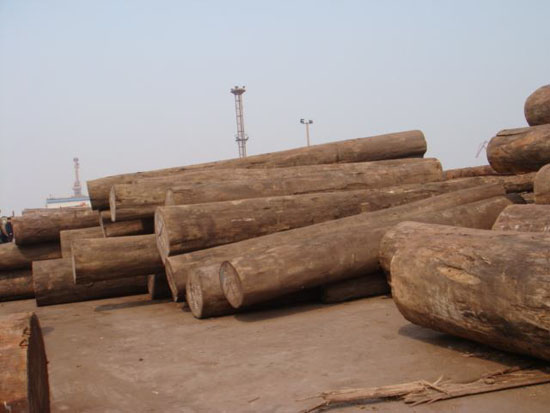 ���Kľ�I(y��)�l(f��)չ����ƿ�i��������I(y��)��Κ����؇���