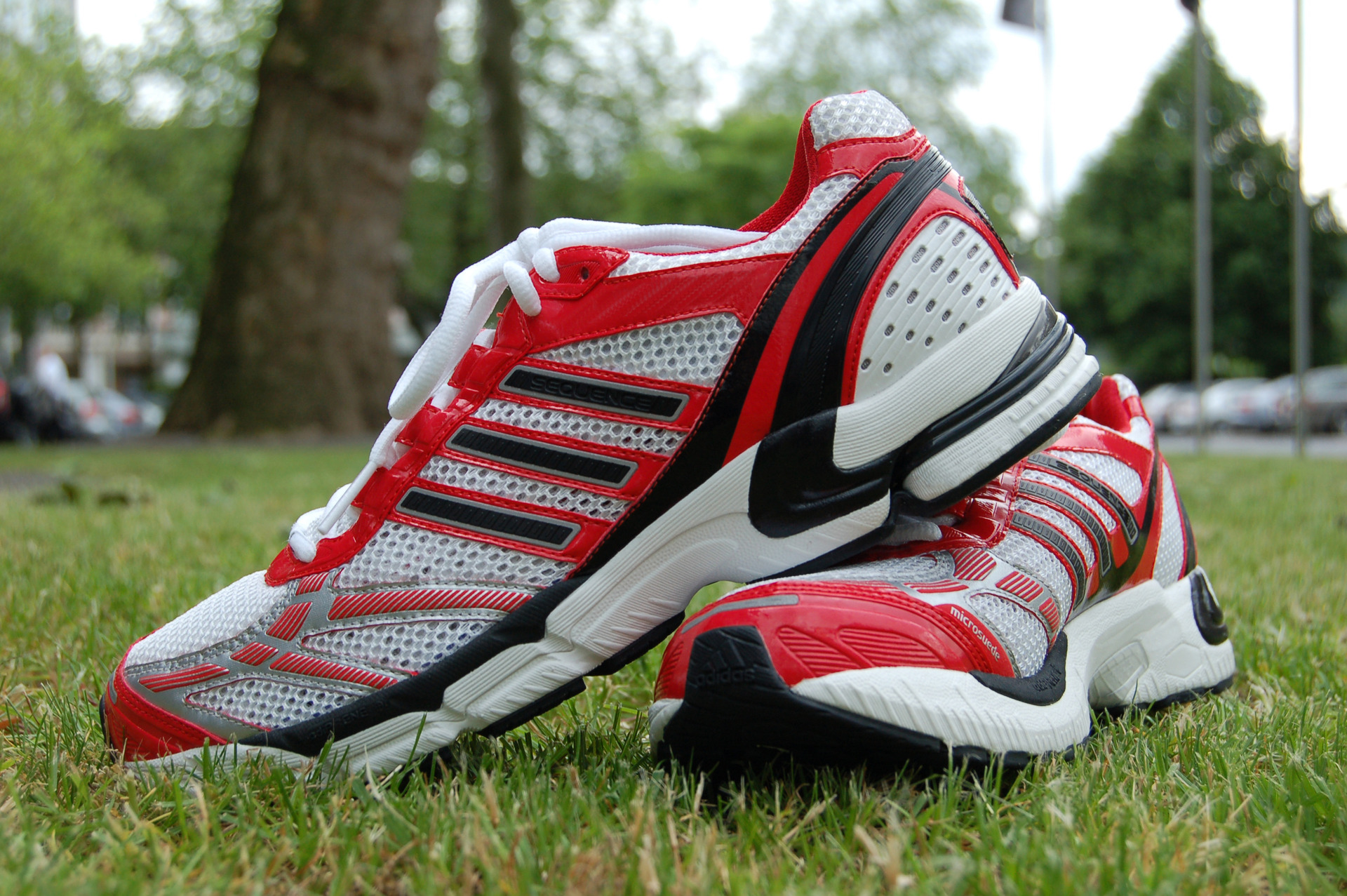 image001.jpg image001.jpg